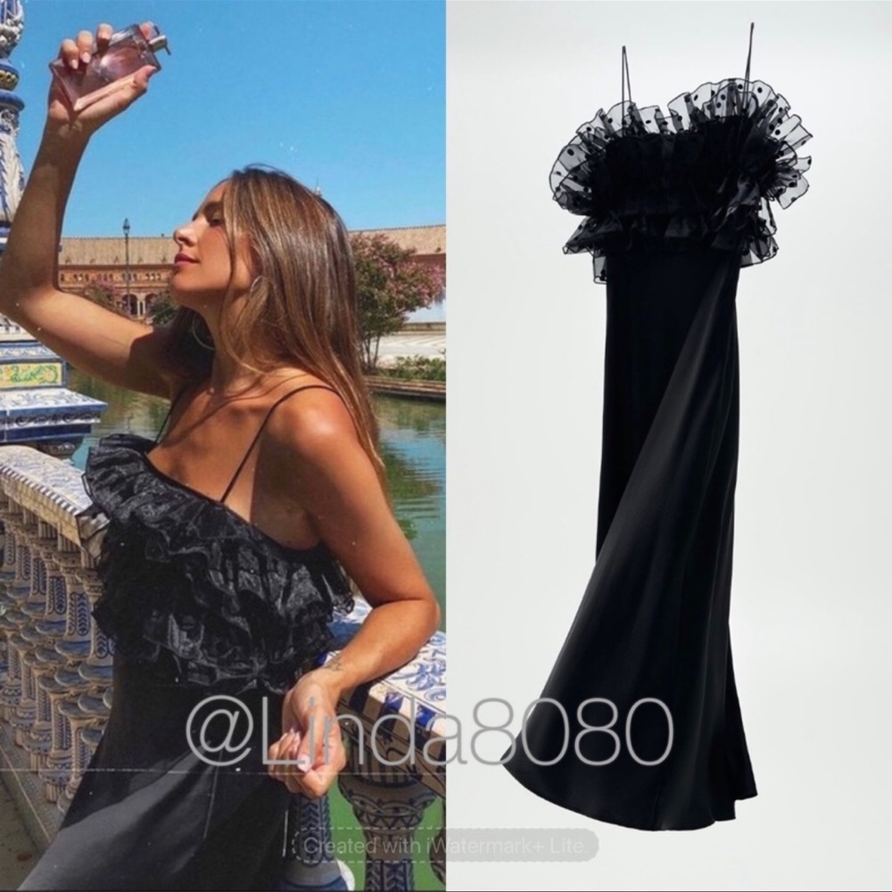 Zara long maxi organza dress